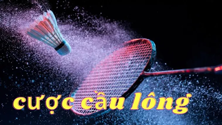 Cách Chơi Cá Cược Cầu Lông Tại Alo789 Đơn Giản Dễ Thắng Lớn