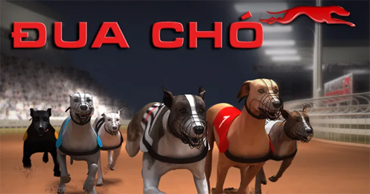 Cách Chơi Game Nhanh Đua Chó Tại Alo789 Kịch Tính Từng Giây